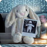 Plush Rabbit